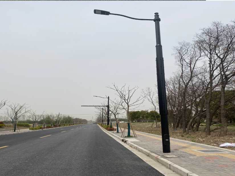 安居区上海综合杆 太阳能路灯工程